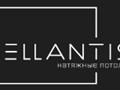 Фото компании ООО Ellantis 1