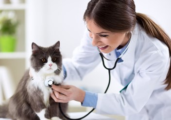 Фото компании  Вет Парк 4