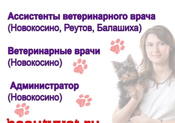 Ветеринарная клиника приглашает на работу специалистов