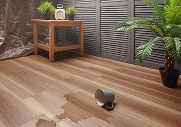 Фото компании  Pro Vinil 2