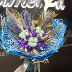 Фото компании  Camelia 8