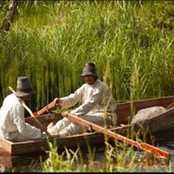 Фото компании ИП СельскийДворик 7