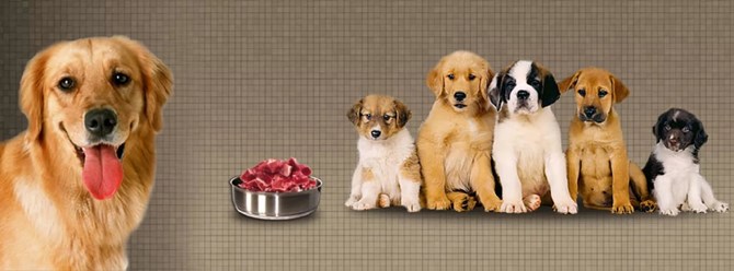 Фото компании  Luckyfood 1