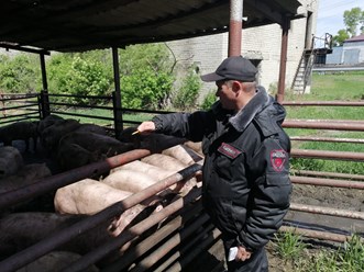 Фото компании ООО Охрана 4