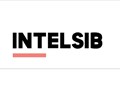 Фото компании ООО "Intelsib" Челябинск 1