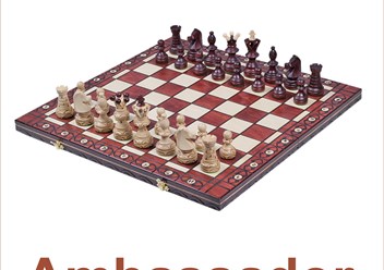 Фото компании ООО Chess Life 6