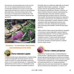 Фото компании  DREAMTERRA В РОССИИ  82