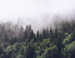 Фото компании  PixiRu 2