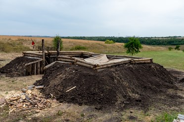 Дерево-земляной городок Козловского участка