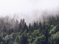 Фото компании  PixiRu 2