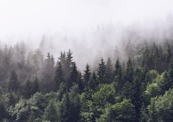 Фото компании  PixiRu 2