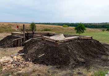 Дерево-земляной городок Козловского участка