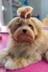 Фото компании  Fuzzy 3