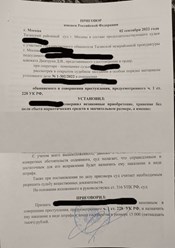 приговор по 228