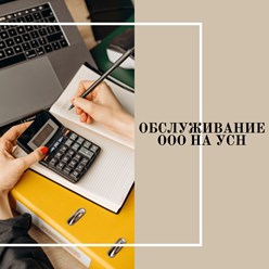 Обслуживание ООО на УСН