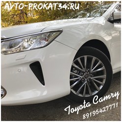 Трансфер в Волгограде. Деловые поездки. 89195427771 Евгений