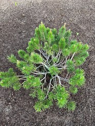 Фото компании  Бережки 11