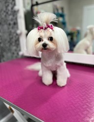 Фото компании  Fuzzy 2