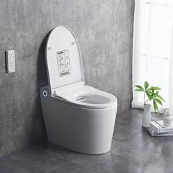 Умный унитаз-биде Brunnen Wal BW-2402 Auto open/close