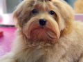Фото компании  Fuzzy 3