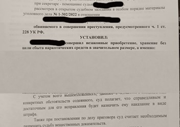 приговор по 228