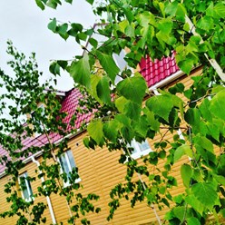 Фото компании ООО Сосновый бор 8