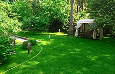Фото компании  «GAZON GROUP». 3