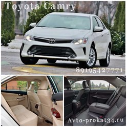 Трансфер в Волгограде. Деловые поездки. 89195427771 Евгений