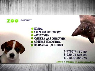 Фото компании ООО «Пальмира» 7