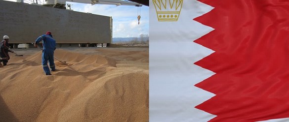 Отправка пшеницы в Бахрейн