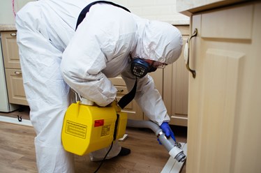 Фото компании ООО СибДезСлужба 19