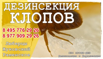 #дезинфекция 
#уничтожениеклопов 
#дезинсекция 
#уничтожениеклопов 
#уничтожениенасекомых 
#дезинсекцияколомна 
#дезинфекцияколомна 
#уничтожениекомаровколомна 
#уничтожениеклоповколомнепрофидез