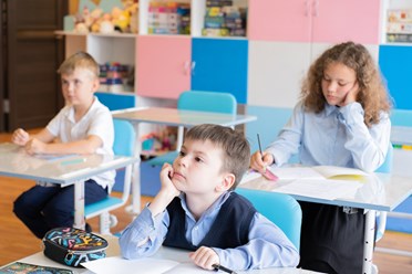 Фото компании  "Голубой Лотос" 8