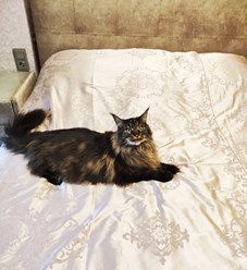 Фото компании ООО Крым Мебель 4