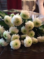 Фото компании  Via Veneto 19