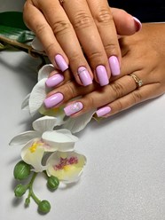 Фото компании  Студия свободы 5