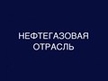 Фото компании  Современный Институт Интеллектуального Развития 5
