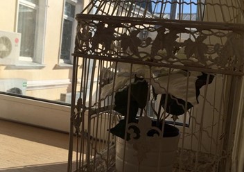 Фото компании  Честная кухня 1