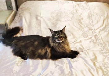 Фото компании ООО Крым Мебель 4