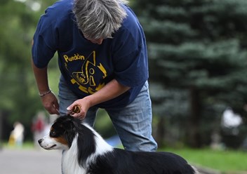Фото компании  Oso de Miel 2