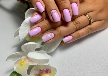 Фото компании  Студия свободы 5