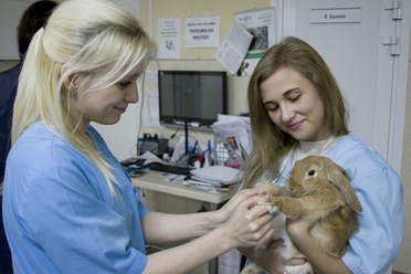 Врачи и Пациенты