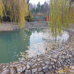 Строительство водоемов и прудов