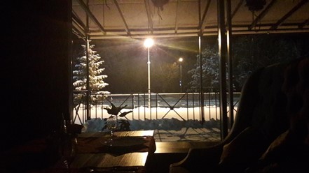 Фото компании  ПАСТЕРНАК 20