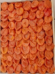 Фото компании ООО Развитие 1