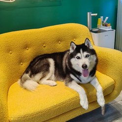 Фото компании  Зоосалон PekkerGroom 3