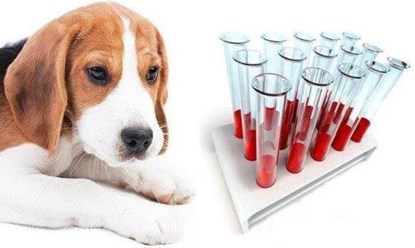 Лабораторная диагностика