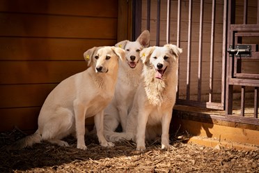 Фото компании  РОО «Экология человека» 14