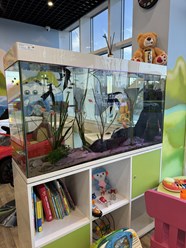 Фото компании  Family Room 5