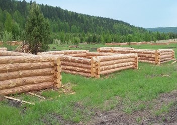 Срубы изготавливаем прямо на делянке